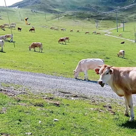 Daire St Lary Soulan Pied Des Pistes *