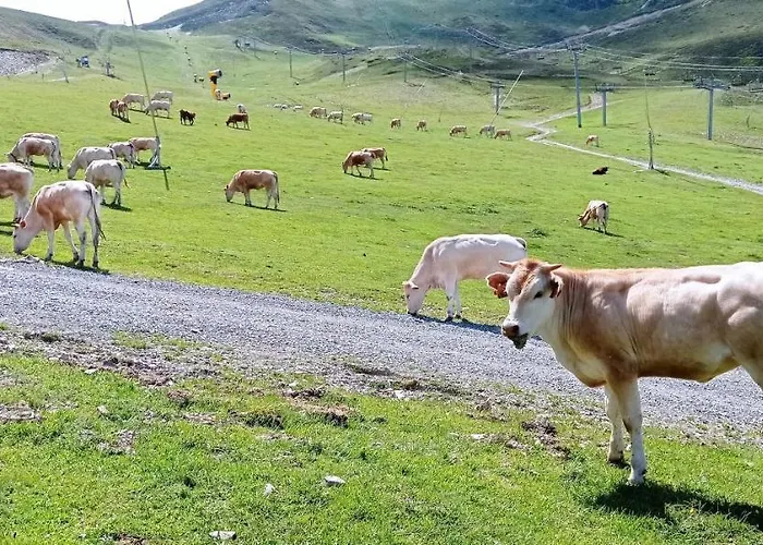 Daire St Lary Soulan Pied Des Pistes *